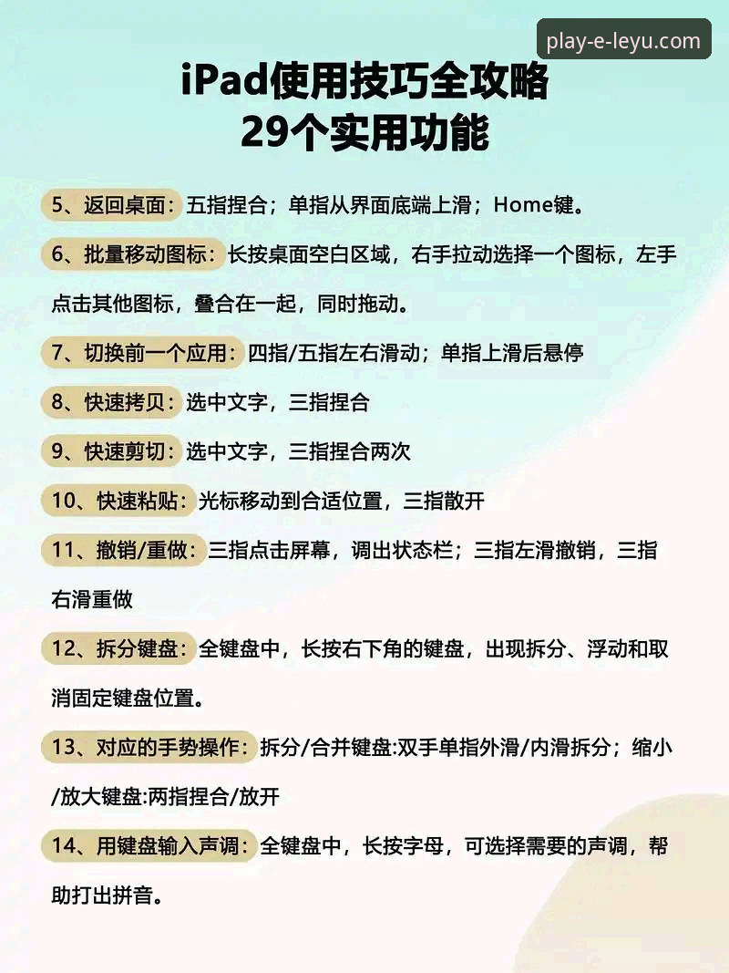 乐鱼体育平台移动端使用教程：从下载到操作的全流程指南